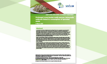 Cover of the report: "Prolonged cross-border multi-serovar Salmonella outbreak linked to consumption of sprouted seeds"