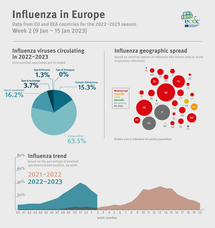Weekly influenza update, week 2, January 2023