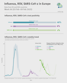 Weekly respiratory virus update, week 6, January 2025