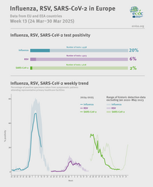 Weekly respiratory virus update, week 13, March 2025