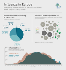 Weekly influenza update, week 20, May 2019 Thumbnail