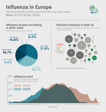 Weekly influenza update, week 16, April 2020