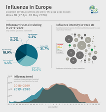 Weekly influenza update, week 18, May 2020