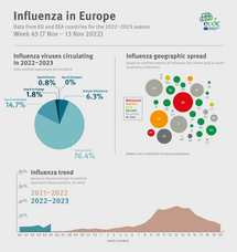 Weekly influenza update, week 45, November 2022