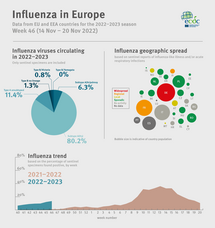Weekly influenza update, week 46, November 2022