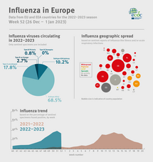Weekly influenza update, week 52, December 2022