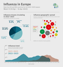 Influenza infographic, week 15 2023