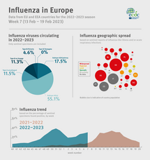 Weekly influenza update, week 7, February 2023