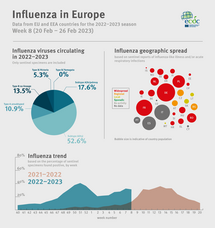 Weekly influenza update, week 8, February 2023