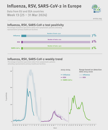 Influenza infographic, week 13 2024