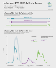 Weekly respiratory virus update, week 14, April 2024