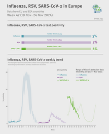 Weekly respiratory virus update, week 47, November 2024