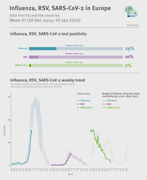 Weekly respiratory virus update, week 1, January 2025