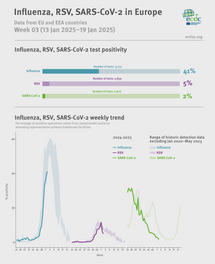 Weekly respiratory virus update, week 3, January 2025