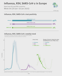 Weekly respiratory virus update, week 4, January 2025