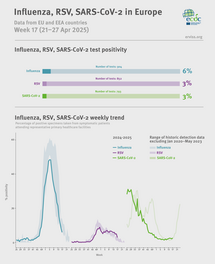 Weekly respiratory virus update, week 17, April 2025