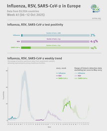 Weekly respiratory virus update, week 41, October 2025