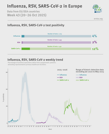 Weekly respiratory virus update, week 43, October 2025