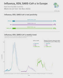 Weekly respiratory virus update, week 44, November 2025