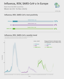 Weekly respiratory virus update, week 46, November 2025