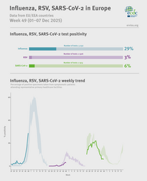 Weekly respiratory virus update, week 49, November 2025
