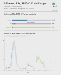 Weekly respiratory virus update, week 1, January 2026