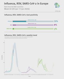 Weekly respiratory virus update, week 2, January 2026