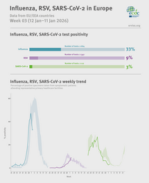 Weekly respiratory virus update, week 3, January 2026