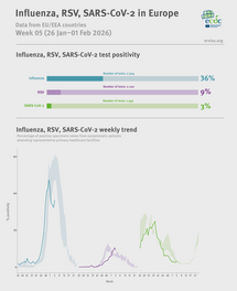 Weekly respiratory virus update, week 5, January 2026