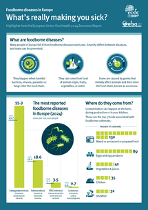 What’s really making you sick? page 1