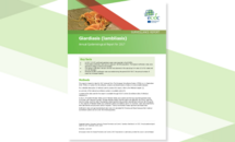 Giardiasis (lambliasis) - Annual Epidemiological Report for 2017 cover Thumbnail