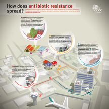 How does antibiotic resistance spread? Thumbnail