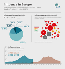Weekly influenza update, week 2, January 2023
