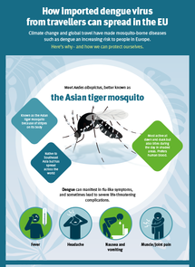 Infographic on the risk of imported mosquito-borne diseases spreading in Europe.