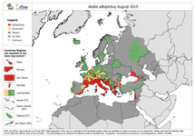 Aedes albopictus - current known distribution: August 2019 Thumbnail