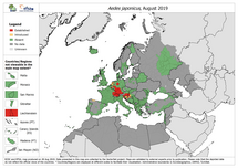 Aedes japonicus - current known distribution: August 2019 Thumbnail