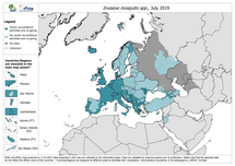Invasive mosquito spp. - current known surveillance: July 2019 Thumbnail