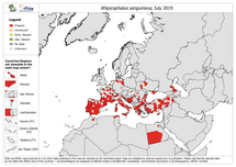 Rhipicephalus sanguineus - current known distribution: July 2019 Thumbnail