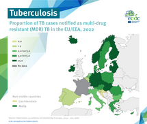 Multidrug-resistant (MDR) tuberculosis in the EU/EEA, 2022