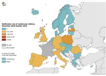 Rubella notification rate, from November 2018 to October 2019 Thumbnail
