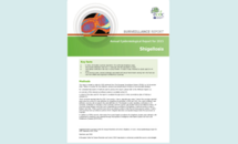 Cover of the Shigellosis AER for 2015 Thumbnail