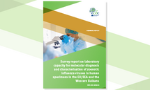 Survey report on laboratory capacity for molecular diagnosis and characterisation of zoonotic influenza viruses in human specimens in the EU/EEA and the Western Balkans