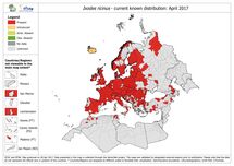 Ixodes ricinus - current known distribution in Europe, as of April 2017 Thumbnail