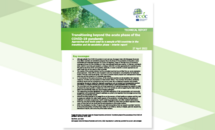 Cover of the report: Transitioning beyond the acute phase of the COVID-19 pandemic