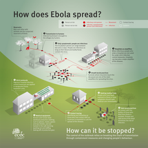 How does Ebola spread? Thumbnail