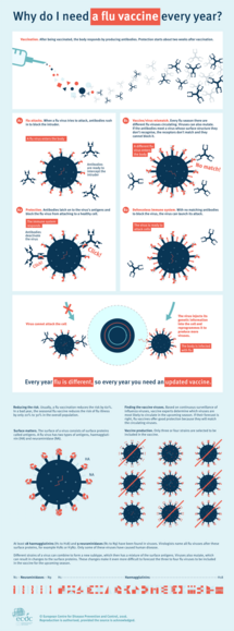 Why do I need a flu vaccine every year? Thumbnail