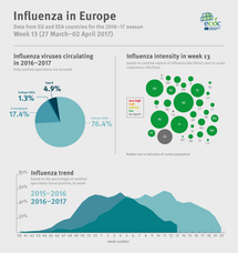Flu News Europe: Weekly influenza update Thumbnail