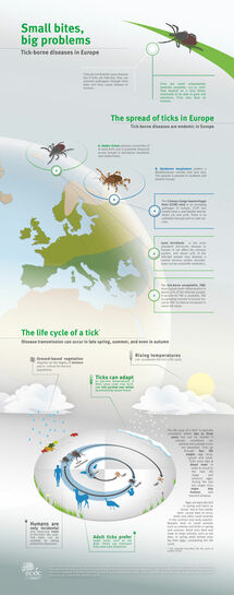 Small bites, big problems. Tick-borne diseases in Europe Thumbnail