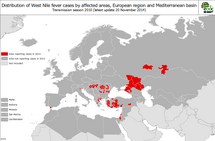 West Nile fever transmission season 2010 - Distribution of West File fever cases by affected areas European region and Mediterranean basin Thumbnail