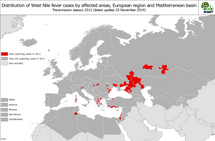 West Nile fever transmission season 2011 - Distribution of West File fever cases by affected areas European region and Mediterranean basin Thumbnail
